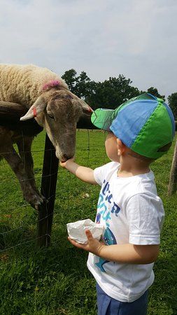 Southwick Country Park